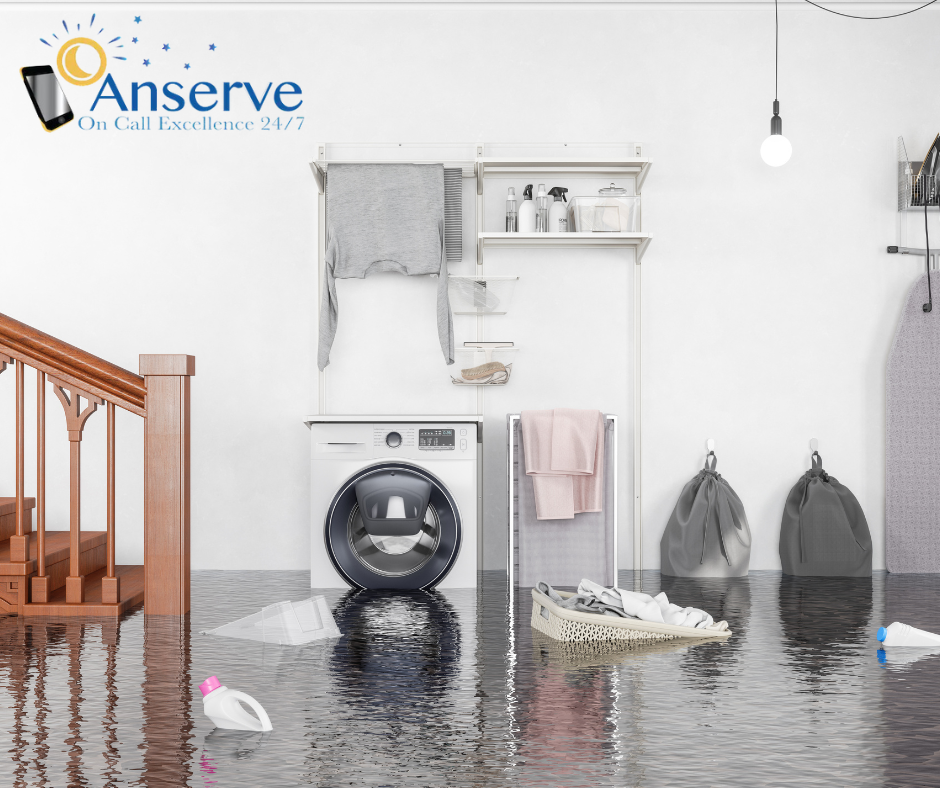 Anserve Restoration Business blog