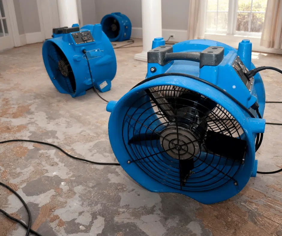 anserve blog business op restoration companies