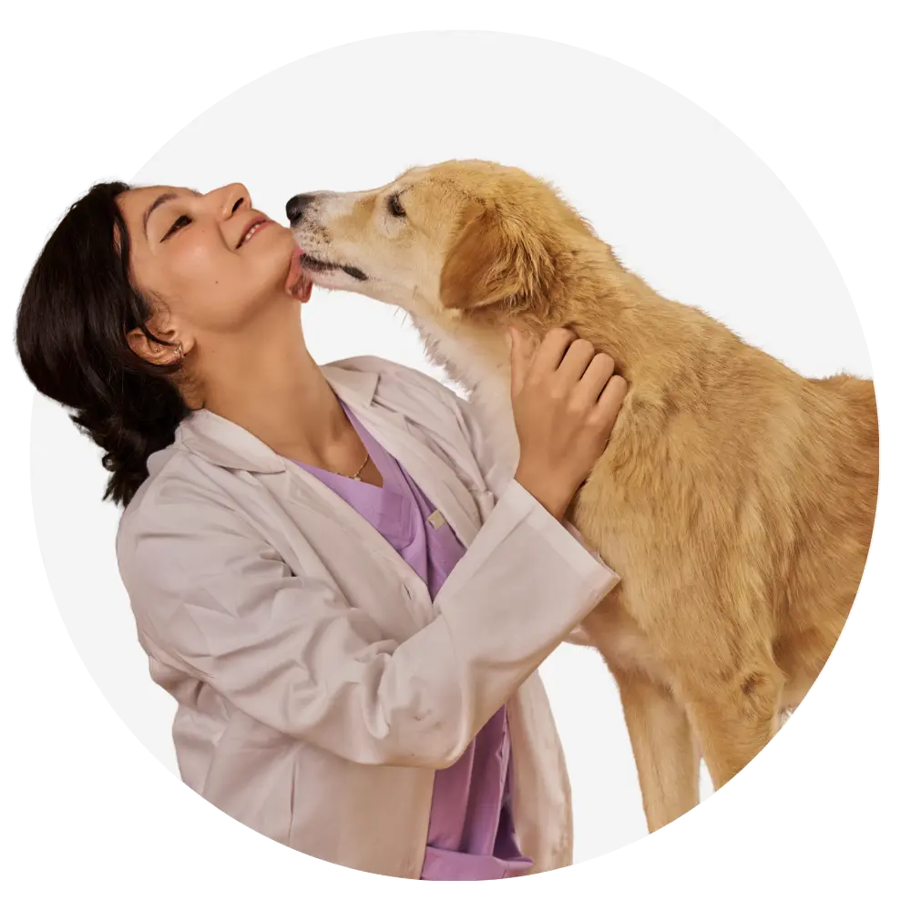 anserve veterinarian