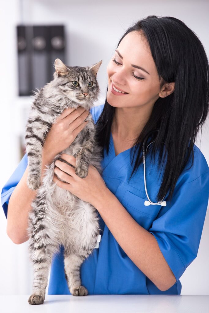 Veterinary Answering Services