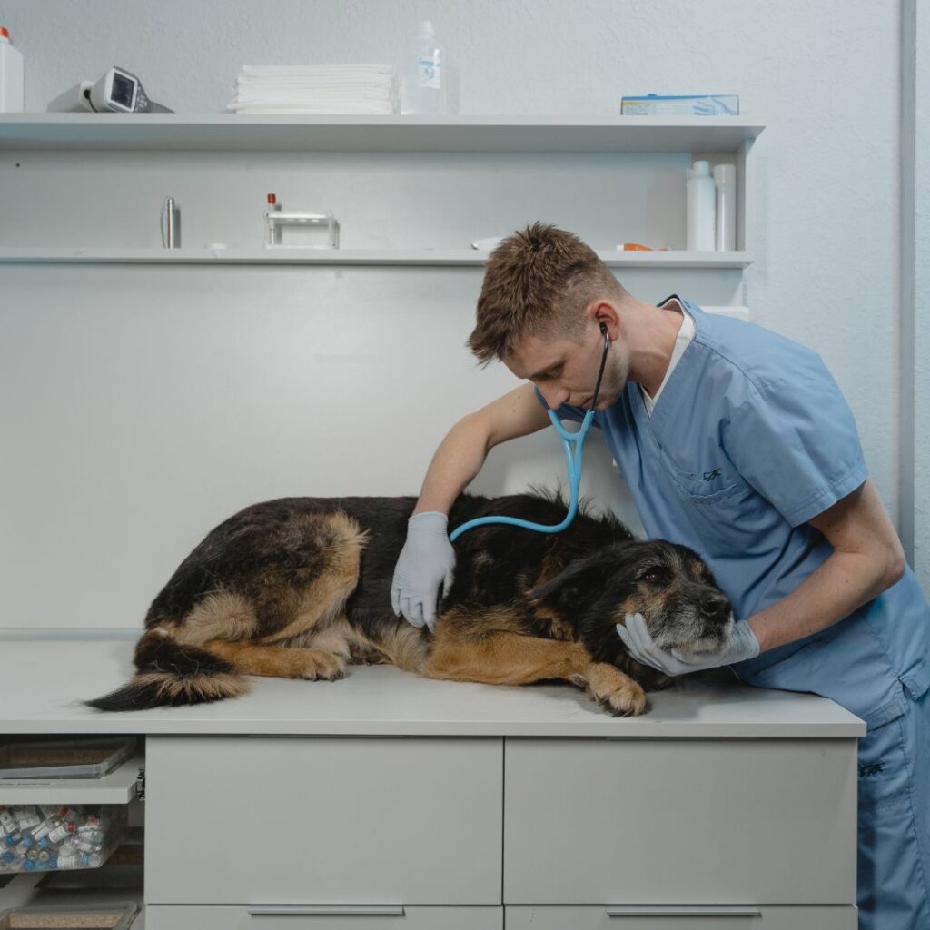 Veterinary Answering Services